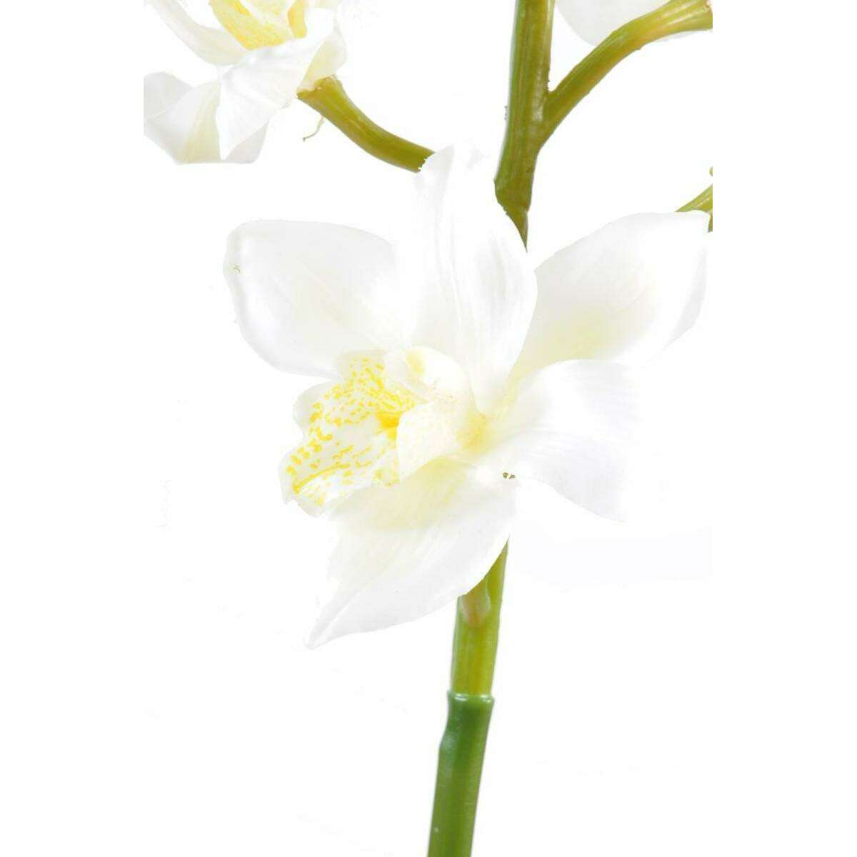 Fleur coupée Orchidée Cymbidium - création bouquet artificiel - H.100cm blanc