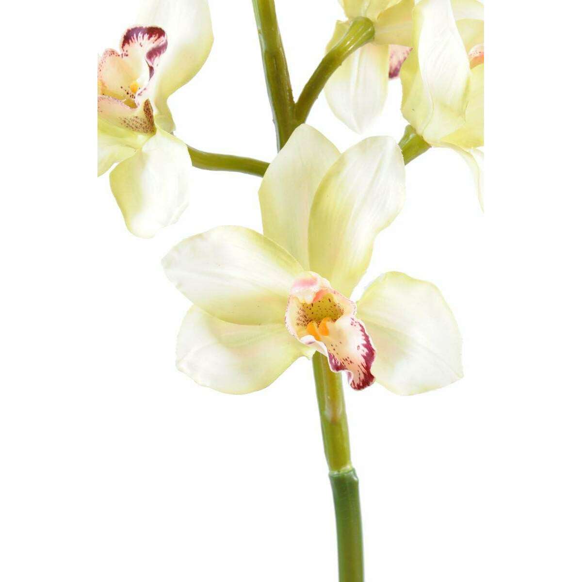 Fleur coupée Orchidée Cymbidium - création bouquet artificiel - H.100cm crème
