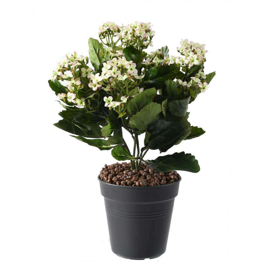 Fleurs artificielles Kalanchoe - plante en piquet - H.25cm blanc