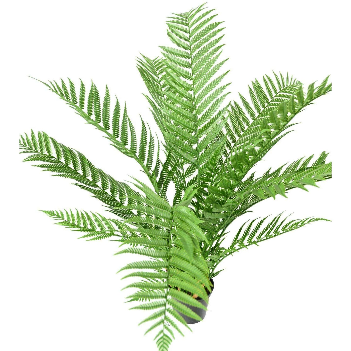 Fougère artificielle Dicksonia en pot - plante d'extérieur - H.60cm vert
