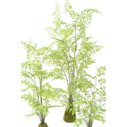 Fougère artificielle socle mousse - plante d'intérieur - H.170cm vert
