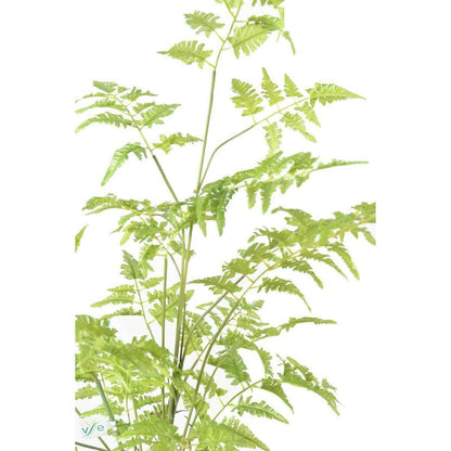 Fougère artificielle socle mousse - plante d'intérieur - H.95cm vert