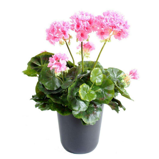 Géranium en piquet 5 têtes - Plante fleurie artificielle - H.40cm rose