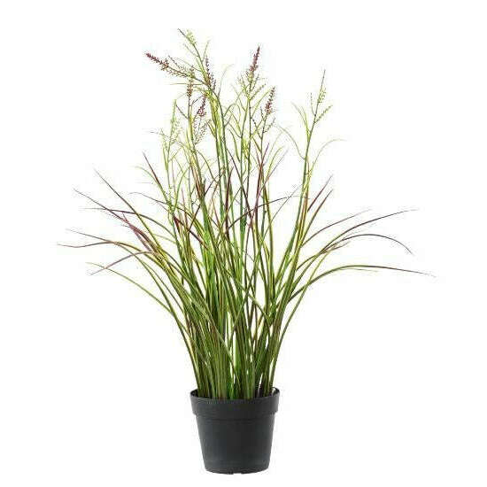 Graminée artificielle Acorus fleuri en pot - plante d'extérieur - H.45cm vert violet