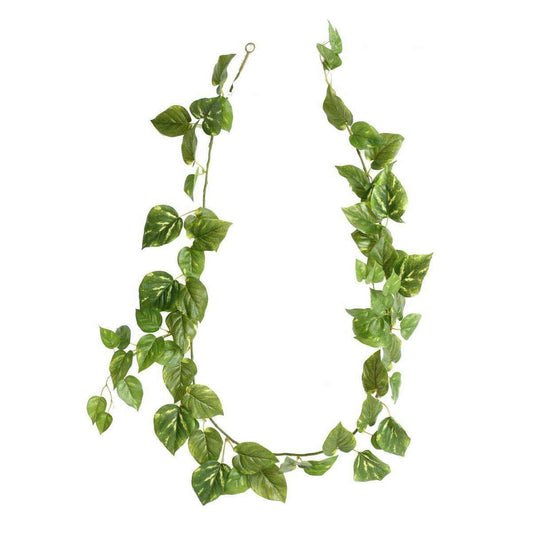 Guirlande artificielle Pothos 68 feuilles - décoration pour intérieur - H.180cm vert blanc