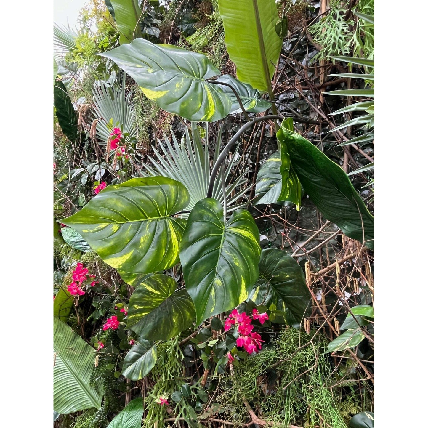 Guirlande artificielle Pothos géant - décoration d'intérieur - H.180cm panaché