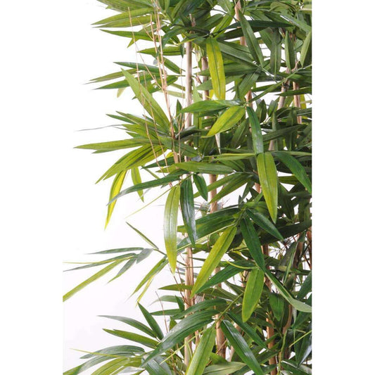 Haie artificielle Bambou New UV résistant - extérieur balcon terrasse - H.185cm socle 95cm