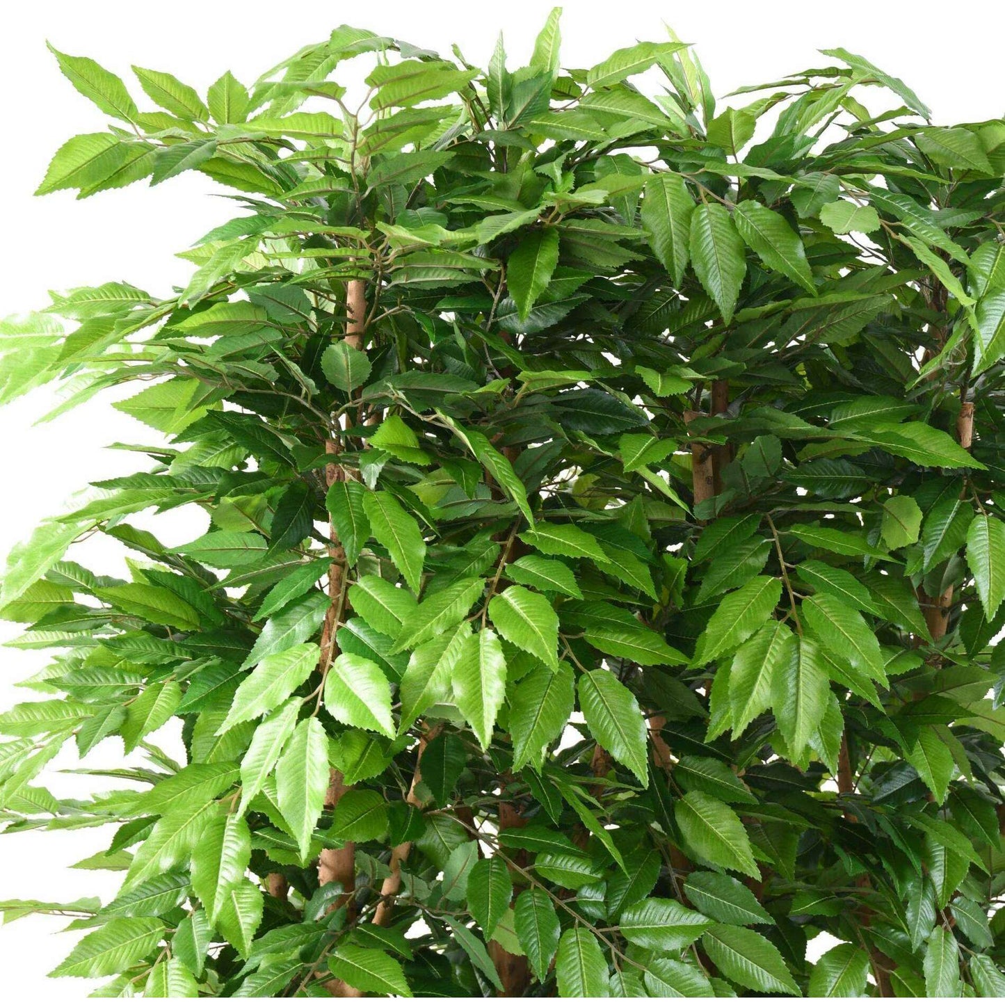 Haie artificielle Charme feuillage dense - structure en bois naturel - H.150 cm