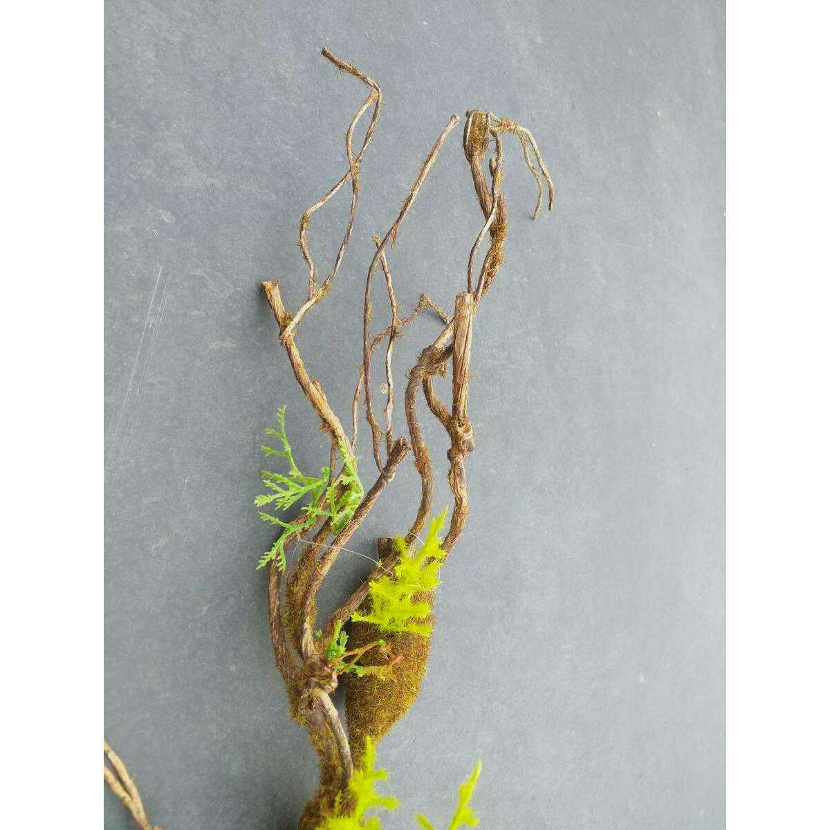 Liane artificielle en carton trempé avec mousse - décors intérieur - H.95cm