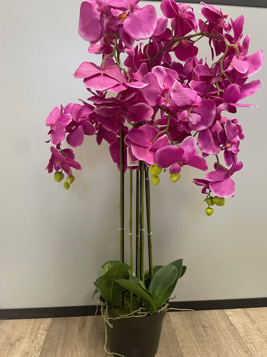 Plante artificielle Orchidée en pot - plante synthétique - H.90cm Fuchsia - S1
