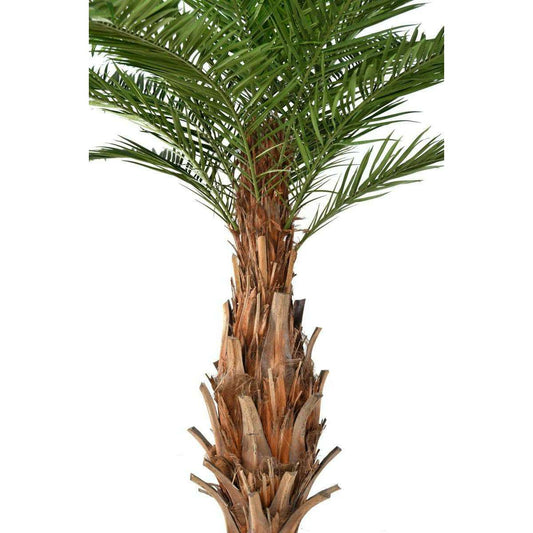 Palmier artificiel Canarie - arbre tropical pour intérieur - H.350cm