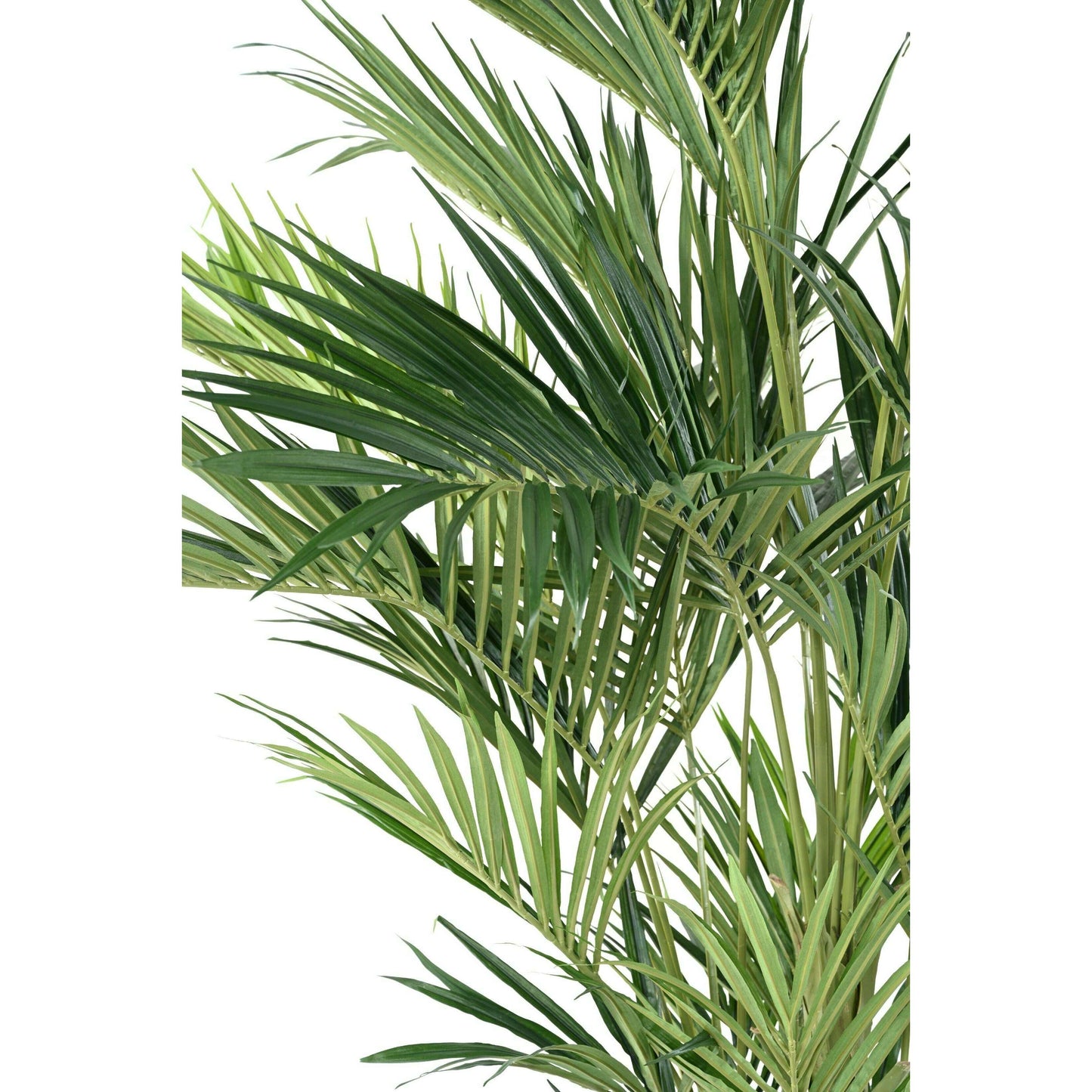 Palmier artificiel kentia royal - ambiance tropicale - H.270cm vert