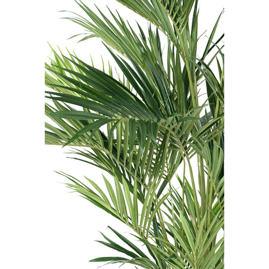 Palmier artificiel kentia royal - ambiance tropicale - H.270cm vert