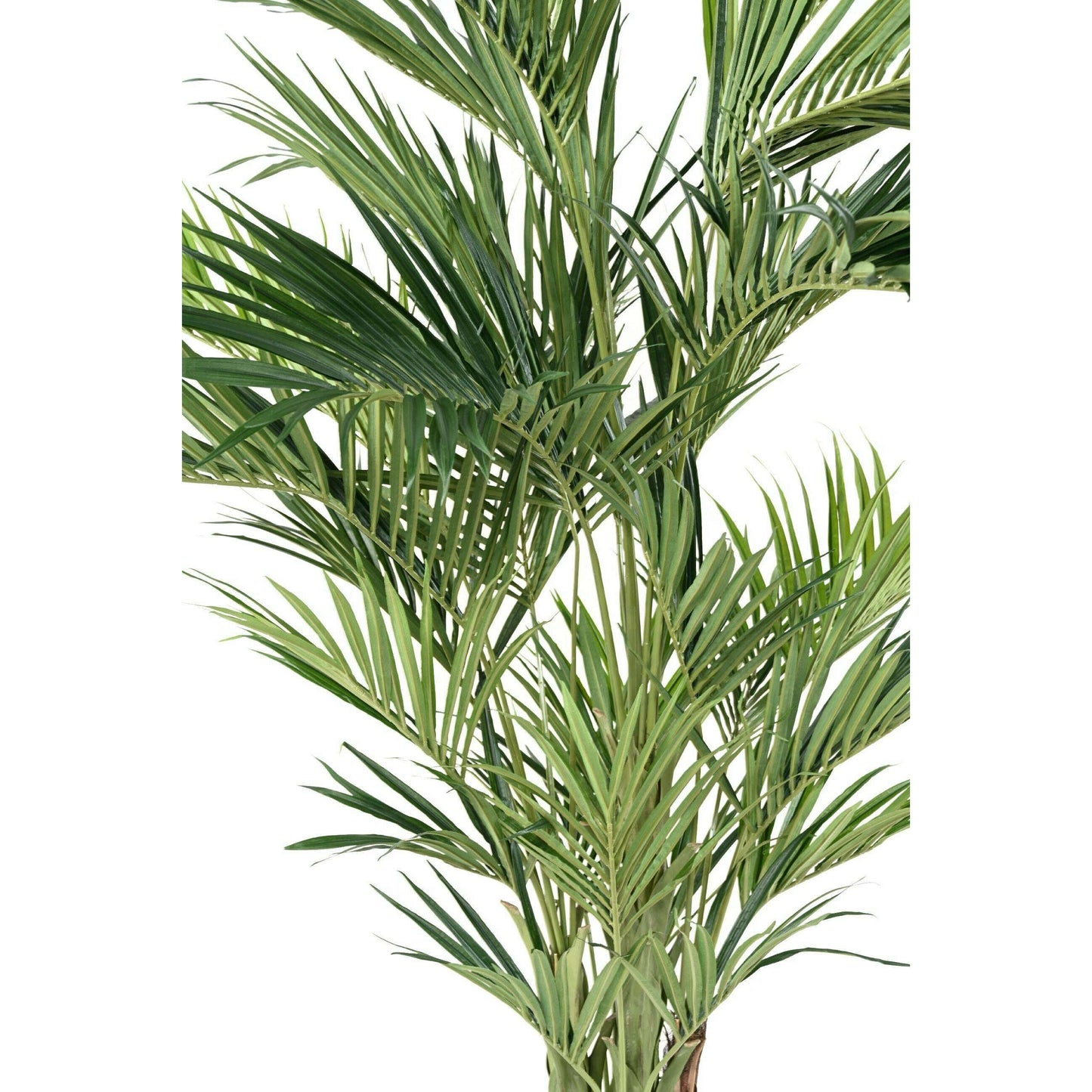 Palmier artificiel kentia royal - ambiance tropicale - H.270cm vert