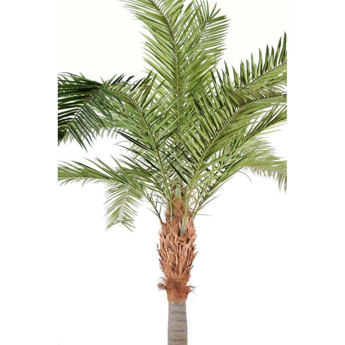 Palmier artificiel Phoenix Canariensis - plante artificielle luxe - H.380cm vert