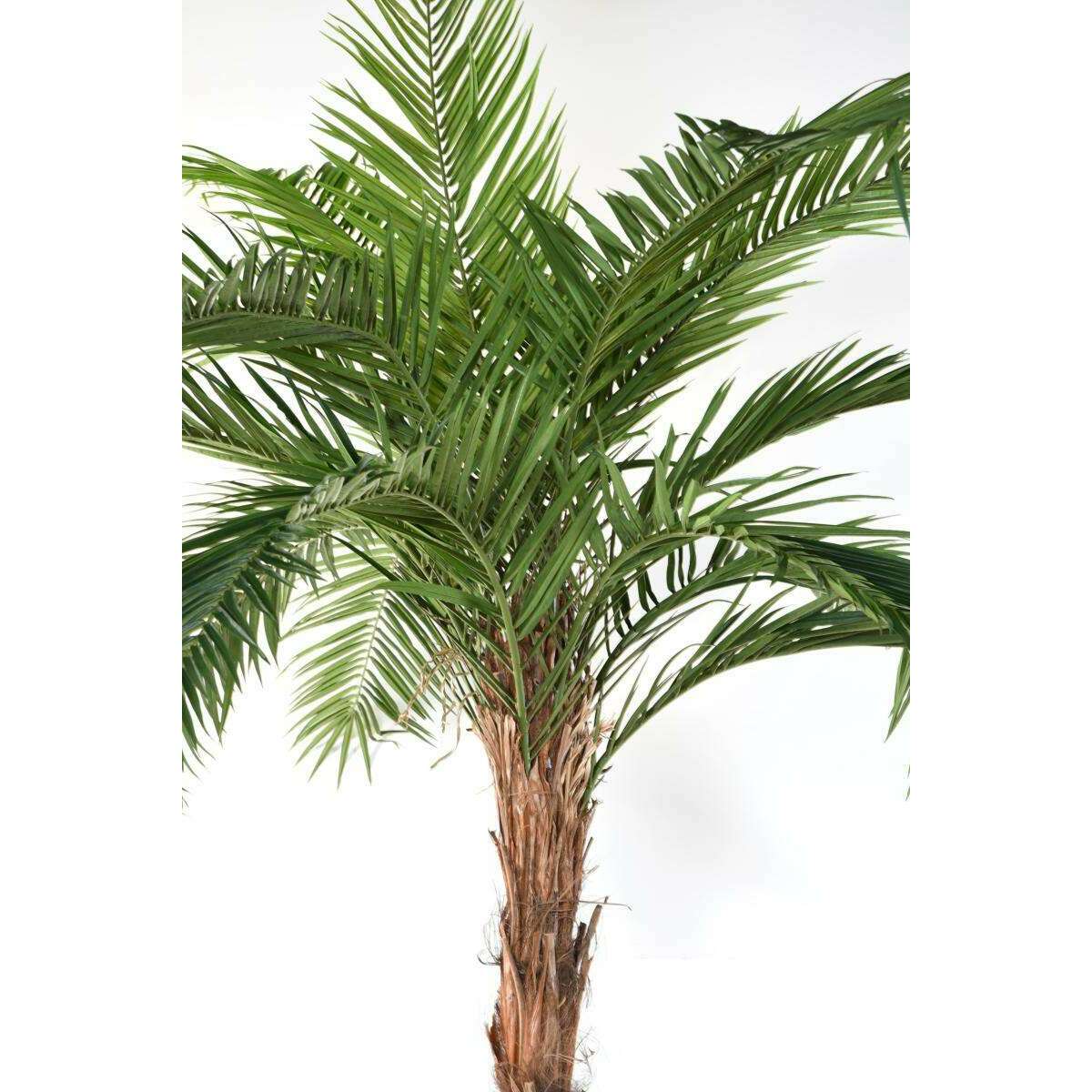 Palmier artificiel Phoenix Canariensis - plante intérieur - H.370cm vert