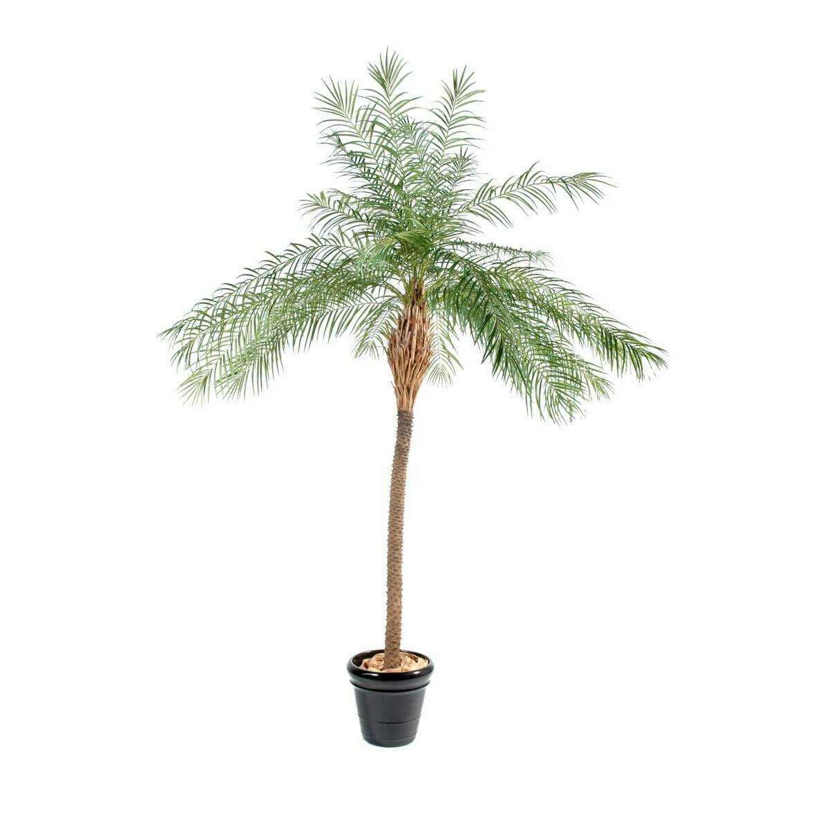 Palmier artificiel Phoenix New - plante d'intérieur - H.190cm vert