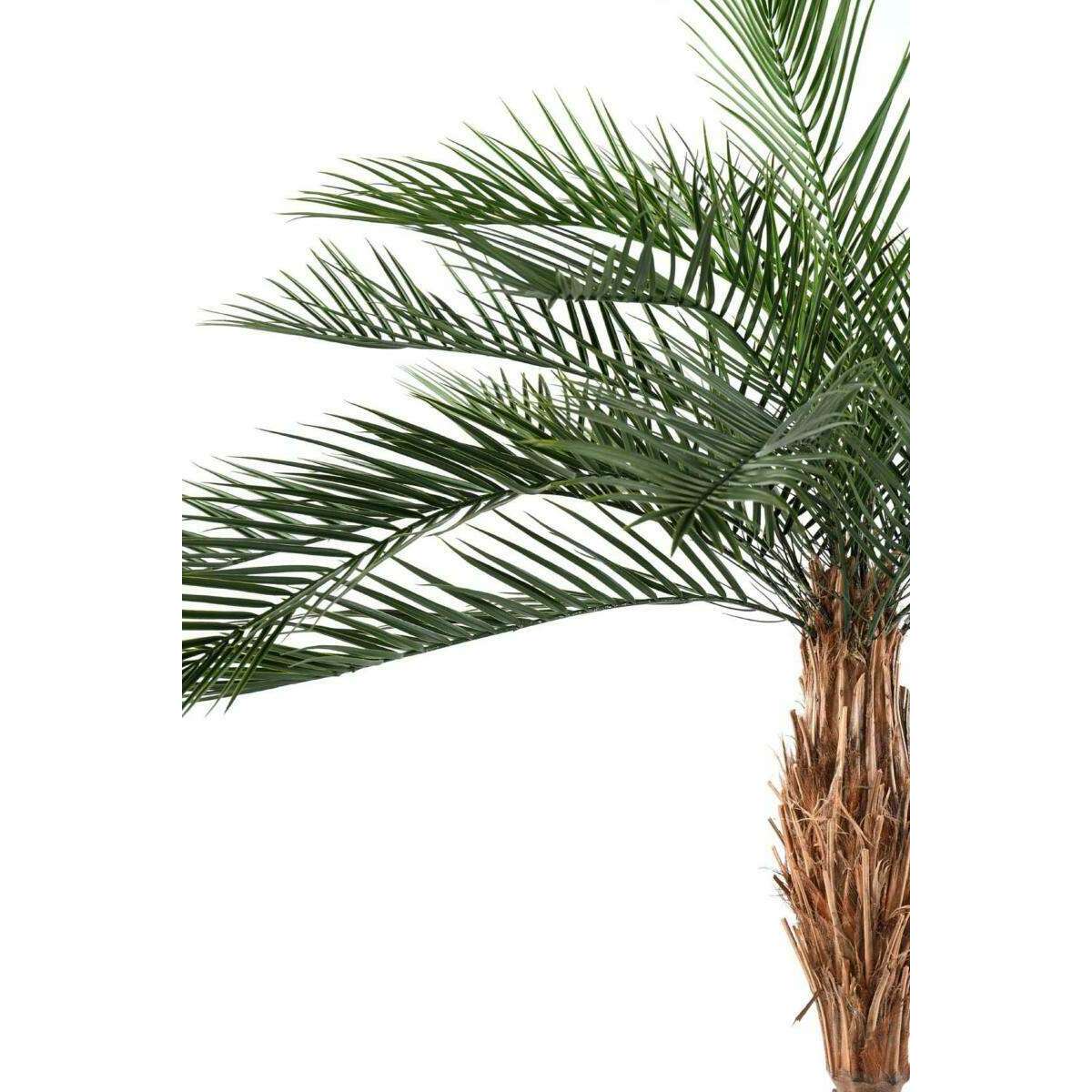 Palmier artificiel Phoenix PLAST - arbre pour extérieur - H.220cm vert