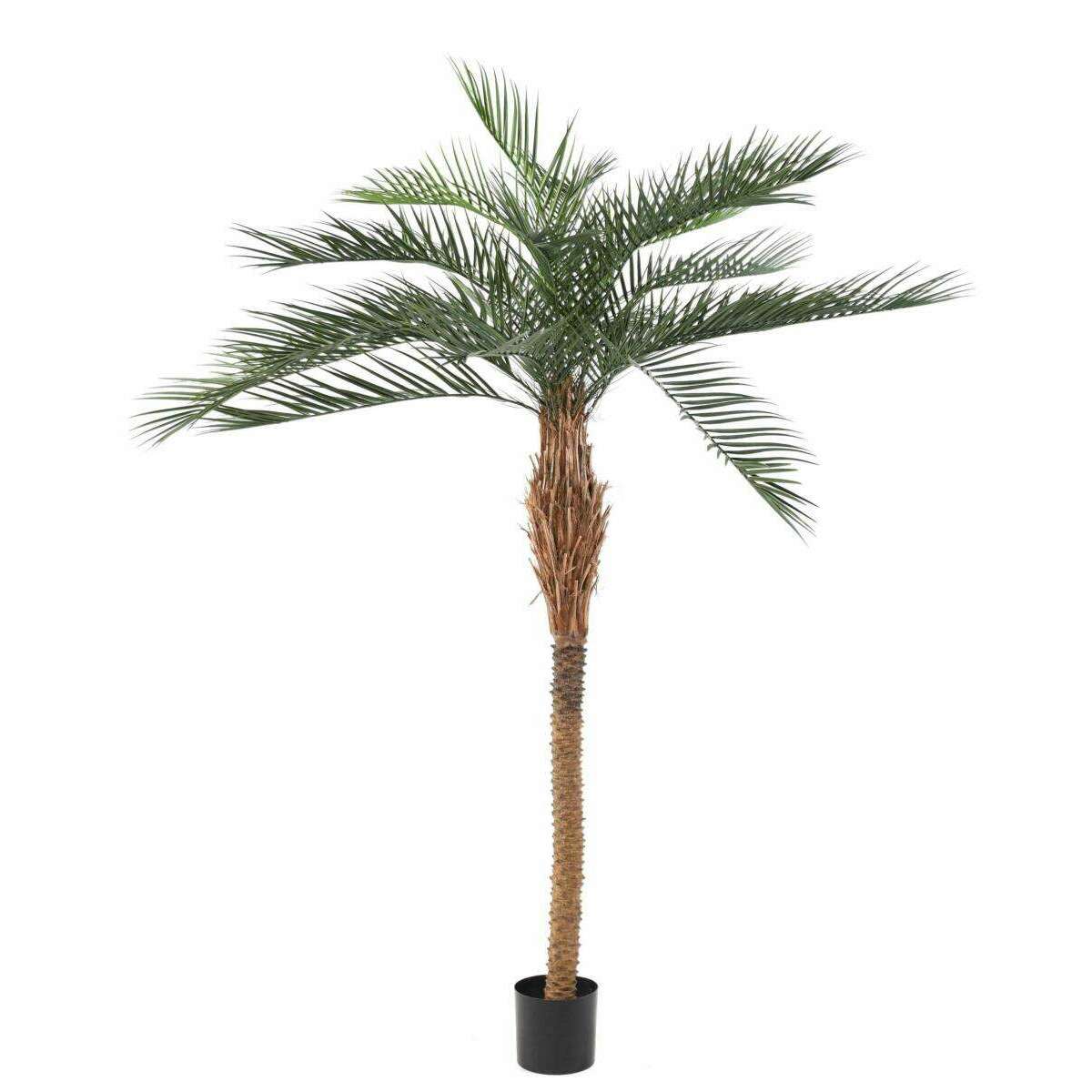 Palmier artificiel Phoenix PLAST - arbre pour extérieur - H.220cm vert