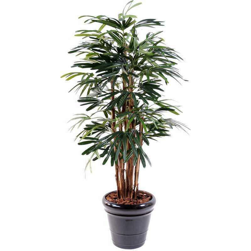 Palmier artificiel Raphis lady 7 cannes -plante synthétique - H.210cm