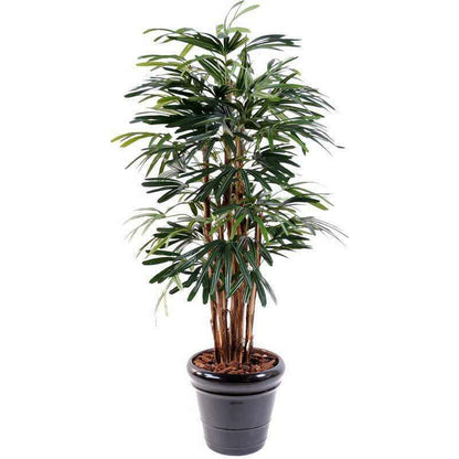 Palmier artificiel Raphis lady 7 cannes -plante synthétique - H.210cm