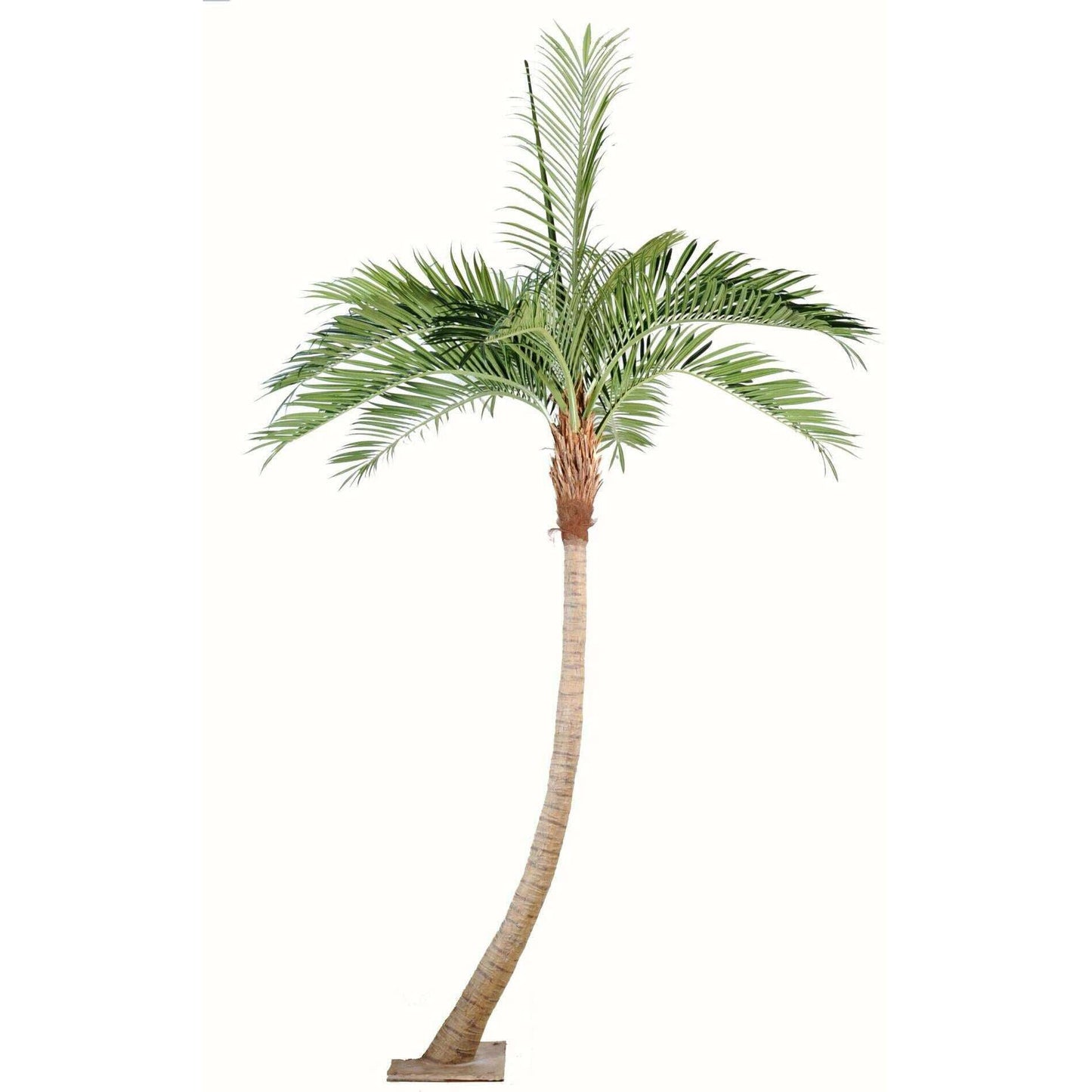 Palmier coconut courbe new - plante artificielle d'intérieur - H.400cm