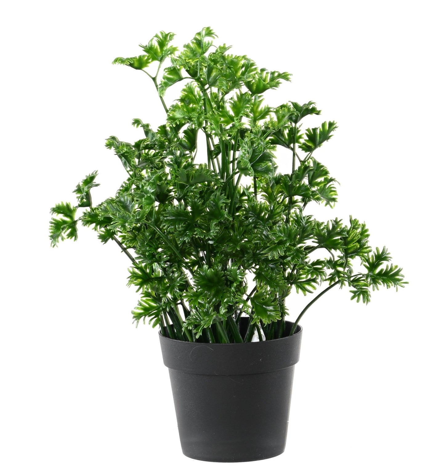 Plante artificielle de Persil en pot - décoration d'intérieur et extérieur - H. 25 cm- Vert - O4
