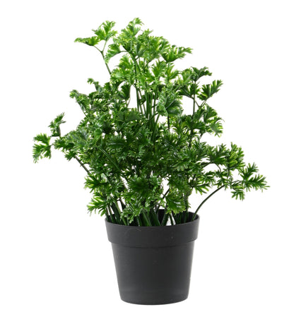 Plante artificielle de Persil en pot - décoration d'intérieur et extérieur - H. 25 cm- Vert - O4