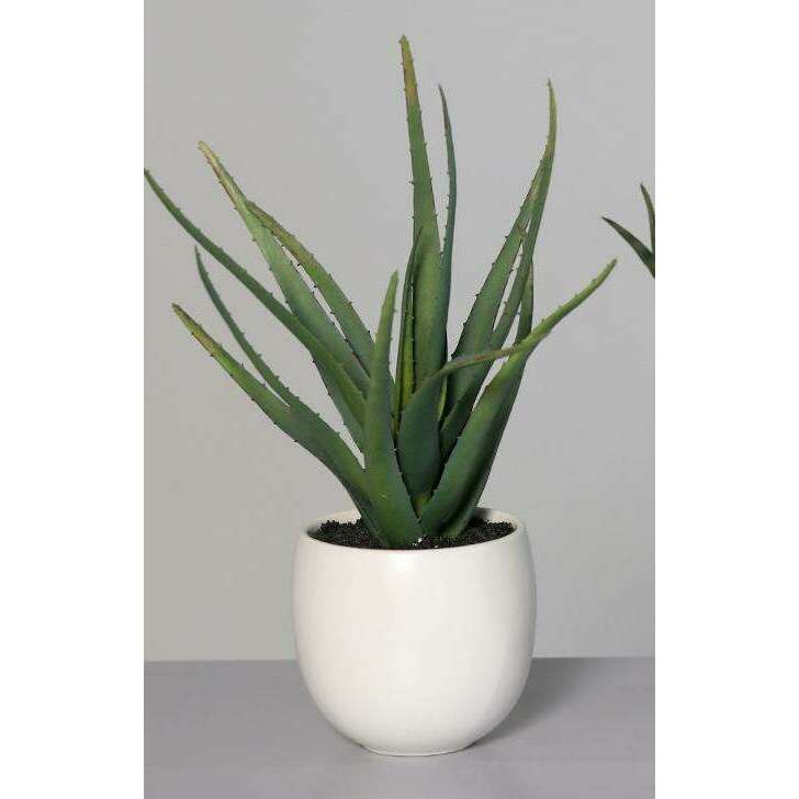 Plante artificielle 3 succulentes pots blancs en céramique - cactus d'intérieur - H.25cm