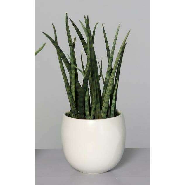 Plante artificielle 3 succulentes pots blancs en céramique - cactus d'intérieur - H.25cm