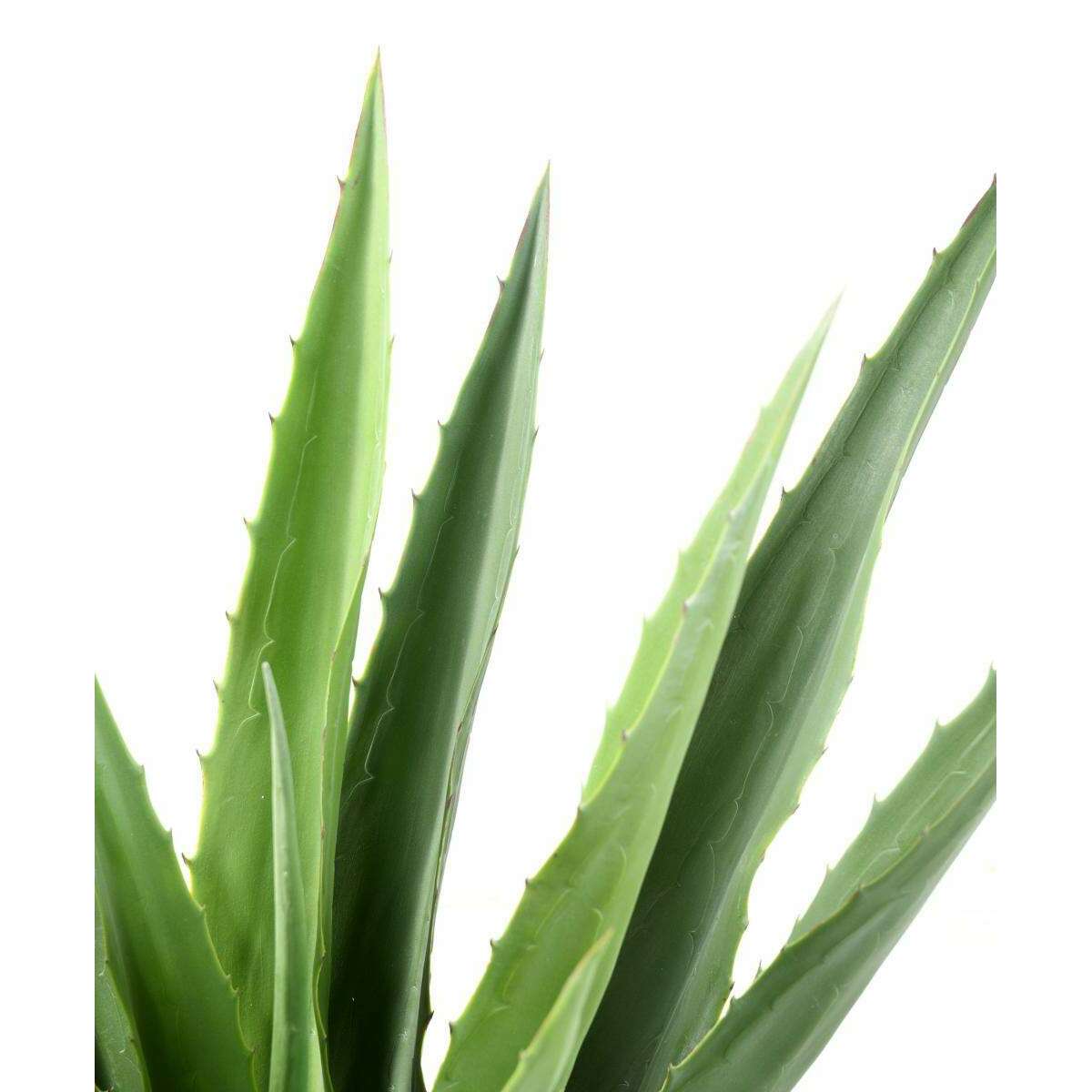 Plante artificielle Agave Furcraea - intérieur extérieur - H.110cm vert