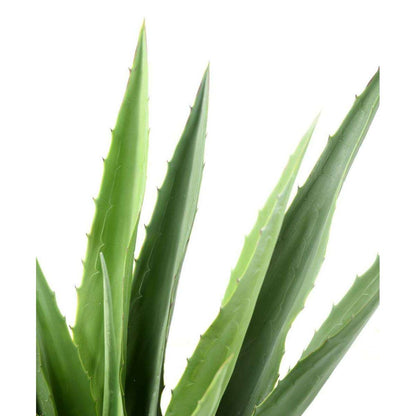 Plante artificielle Agave Furcraea - intérieur extérieur - H.110cm vert