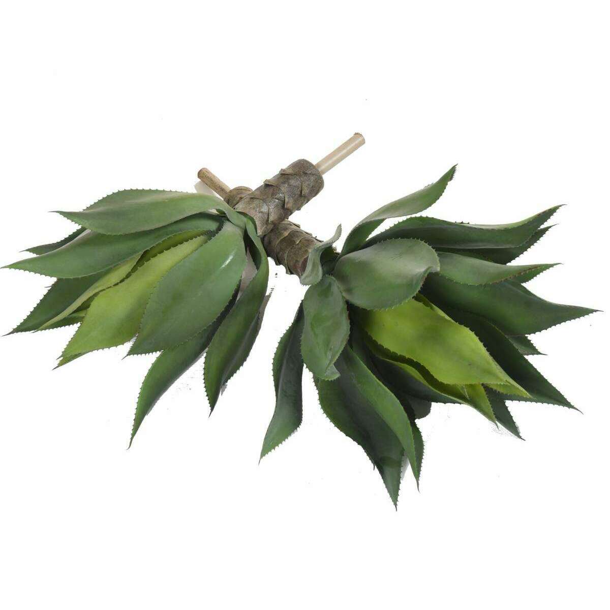 Plante artificielle Agave tige de plantation - cactus pour intérieur - H.60cm