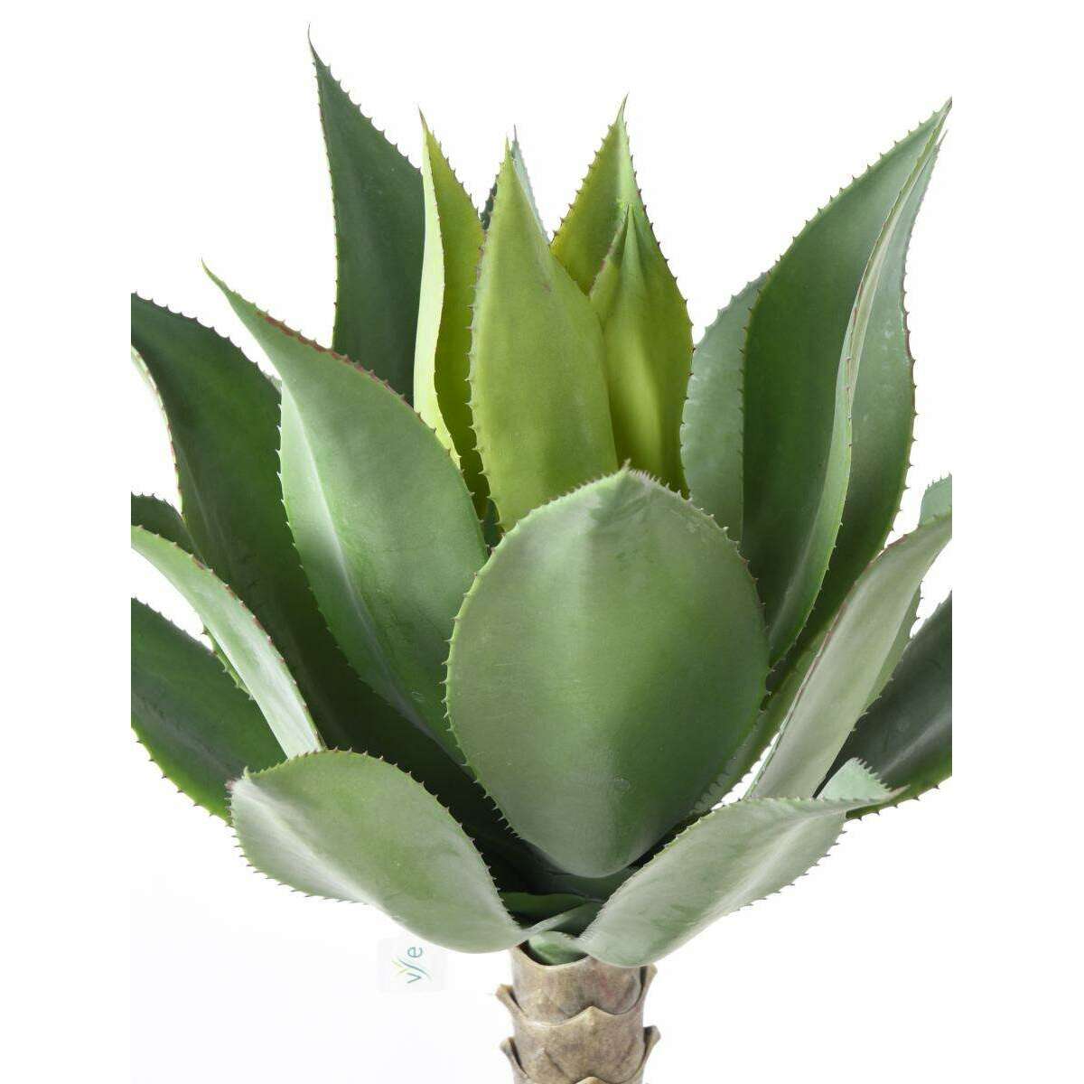 Plante artificielle Agave tige de plantation - cactus pour intérieur - H.75cm