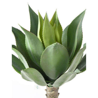 Plante artificielle Agave tige de plantation - cactus pour intérieur - H.75cm