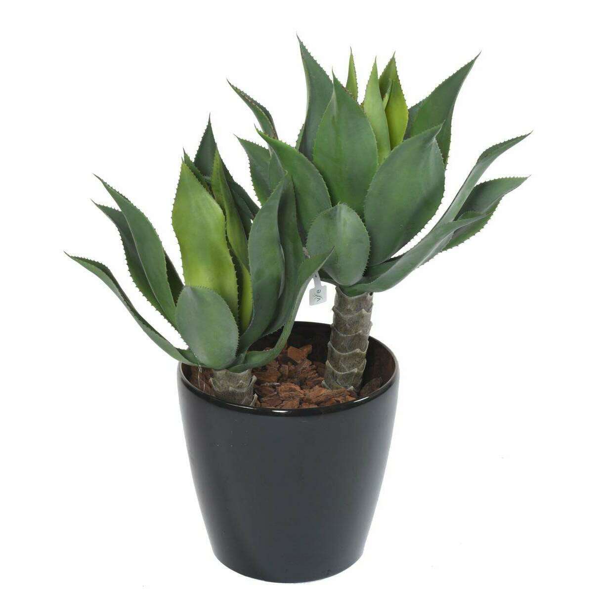 Plante artificielle Agave tige de plantation - cactus pour intérieur - H.75cm