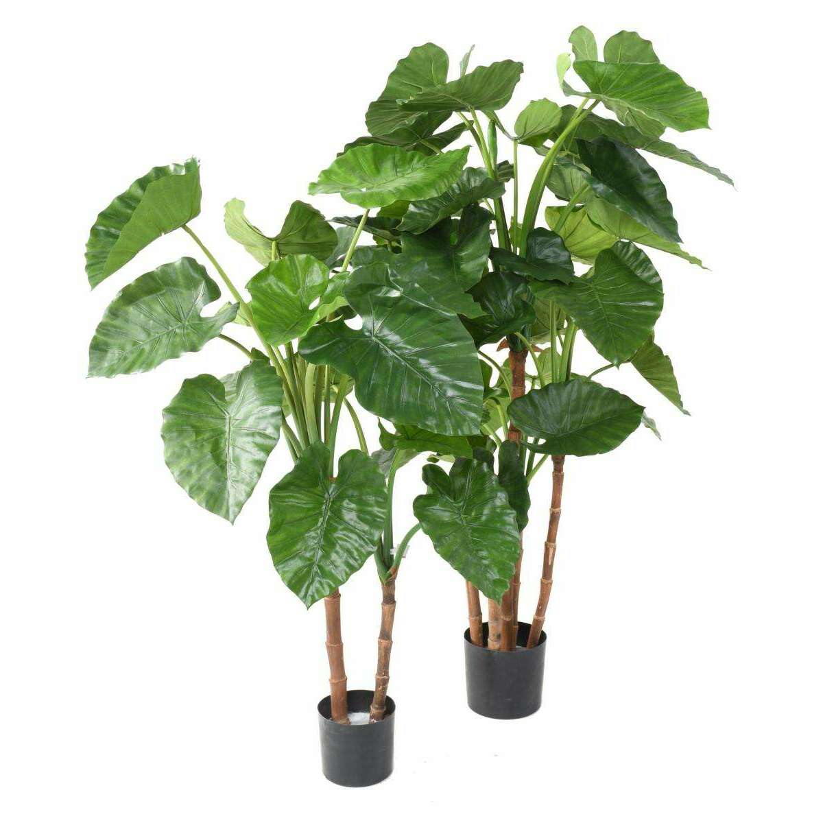Plante artificielle Alocasia Calidora - décoration d'intérieur - H.130cm