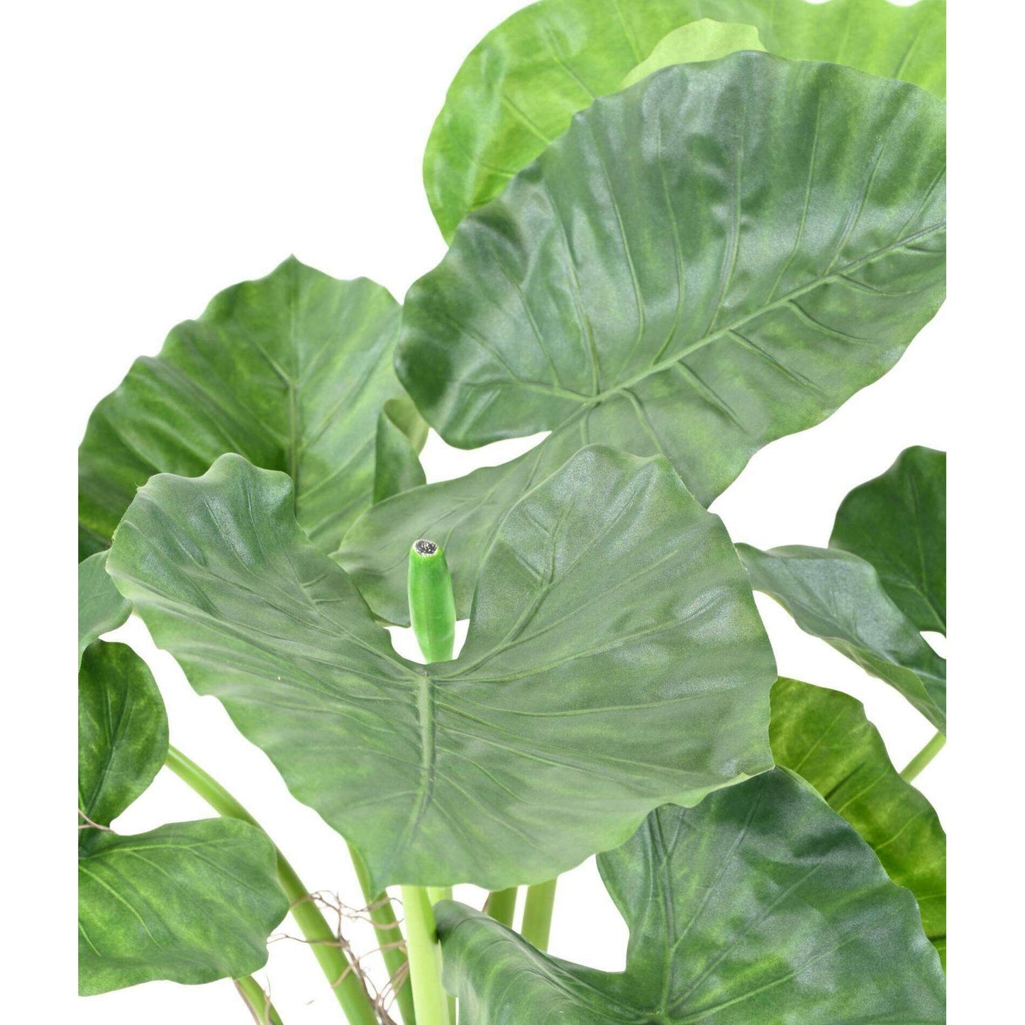 Plante artificielle Alocasia Calidora - plante verte d'intérieur - H.65cm