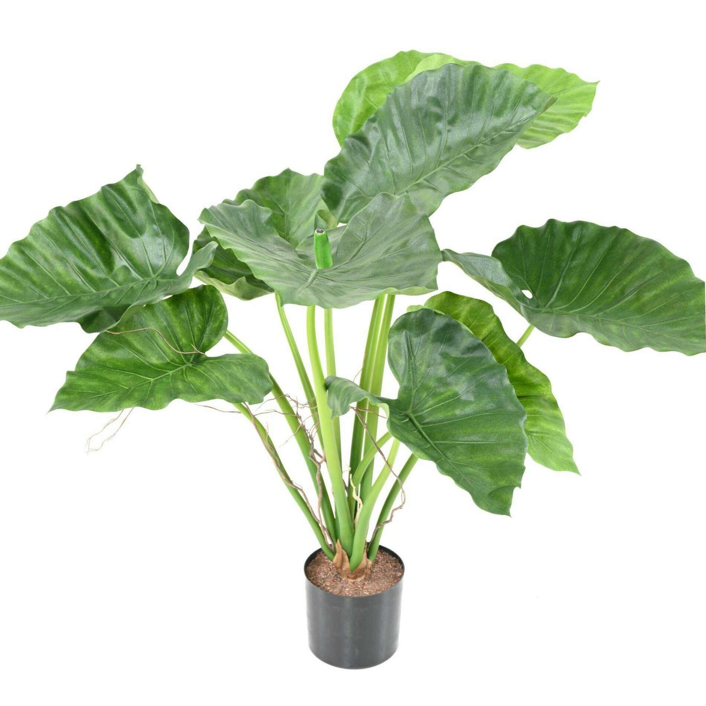 Plante artificielle Alocasia Calidora - plante verte d'intérieur - H.65cm