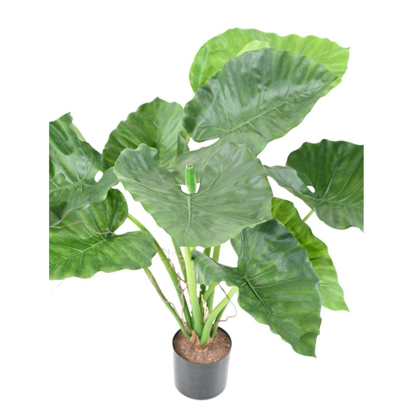 Plante artificielle Alocasia Calidora - plante verte d'intérieur - H.65cm