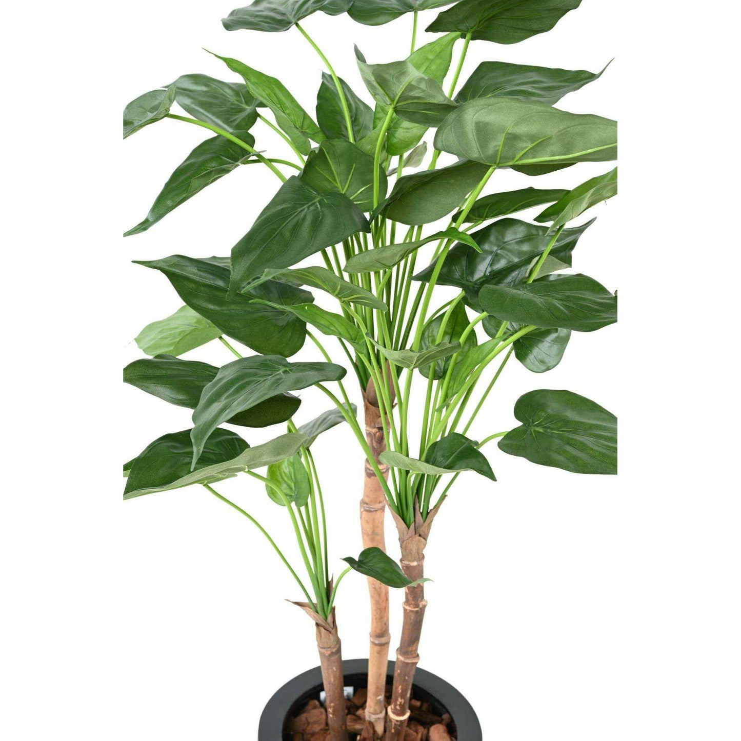 Plante artificielle Alocasia Cucullata - plante tropicale d'intérieur - H.110cm