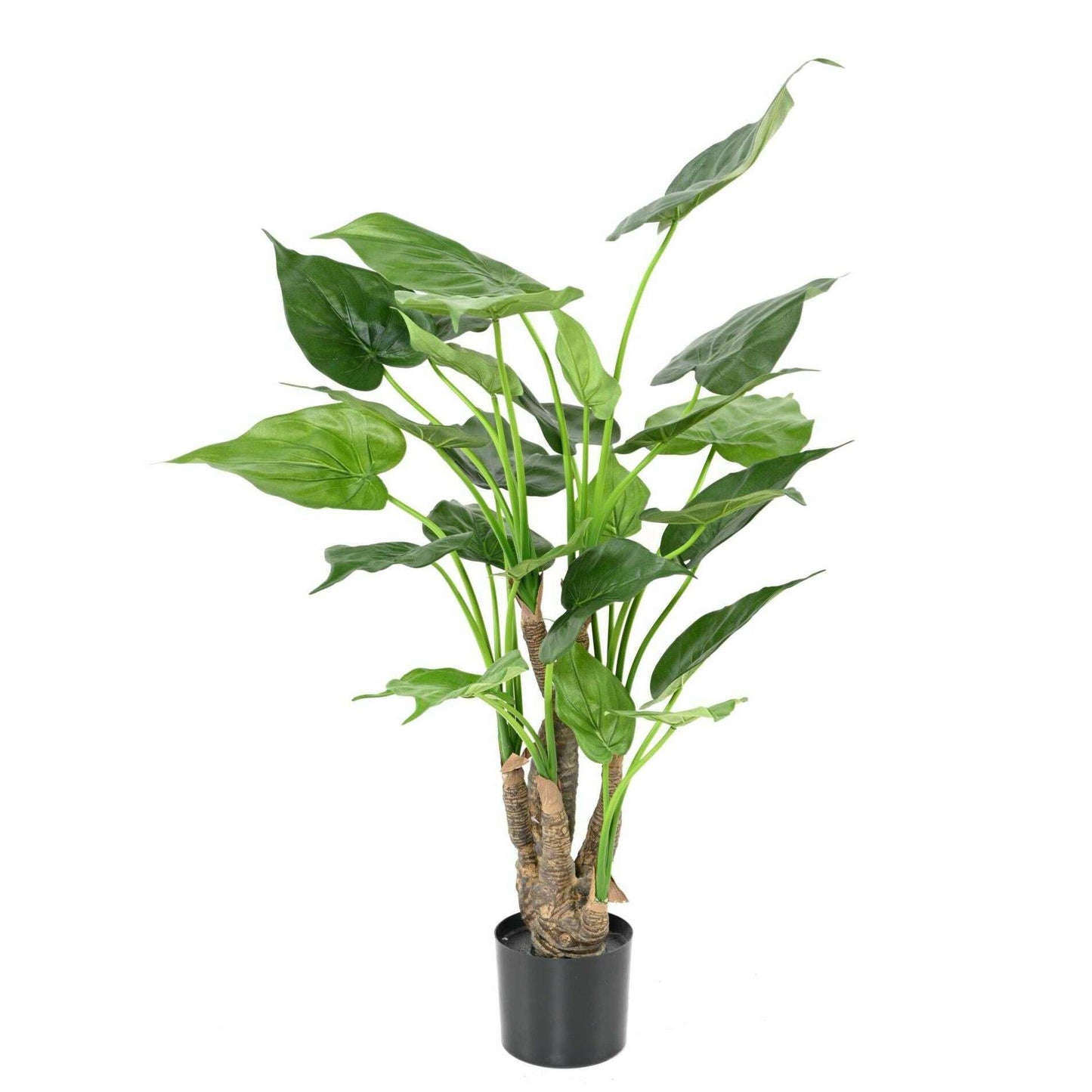 Plante artificielle Alocasia Cucullata - plante tropicale d'intérieur - H.80cm