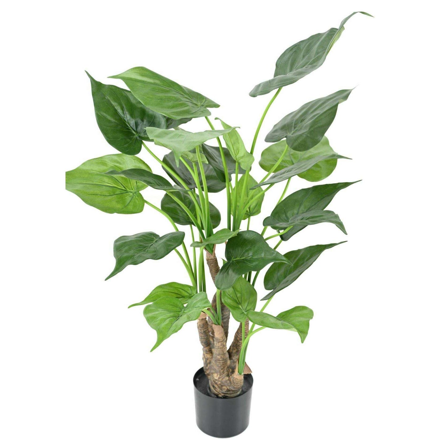 Plante artificielle Alocasia Cucullata - plante tropicale d'intérieur - H.80cm