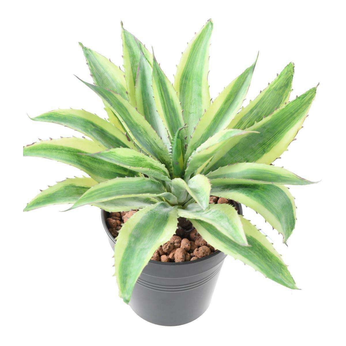 Plante artificielle Aloe en piquet - cactus artificiel intérieur - H.27cm vert jaune