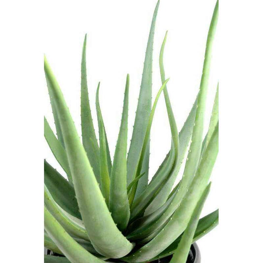 Plante artificielle Aloe vera - plante pour intérieur extérieur - H.70 cm vert
