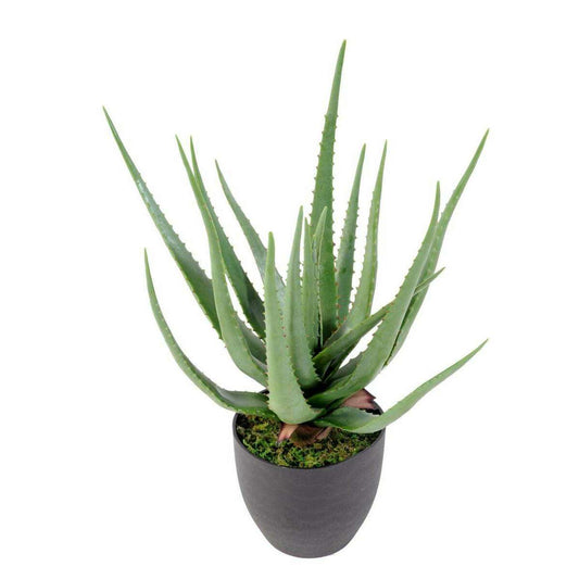 Plante artificielle Aloe vera en pot - plante pour intérieur - H.60cm vert