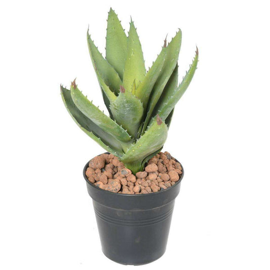 Plante artificielle Aloevera en piquet - cactus artificiel 12 feuilles - H.32cm vert