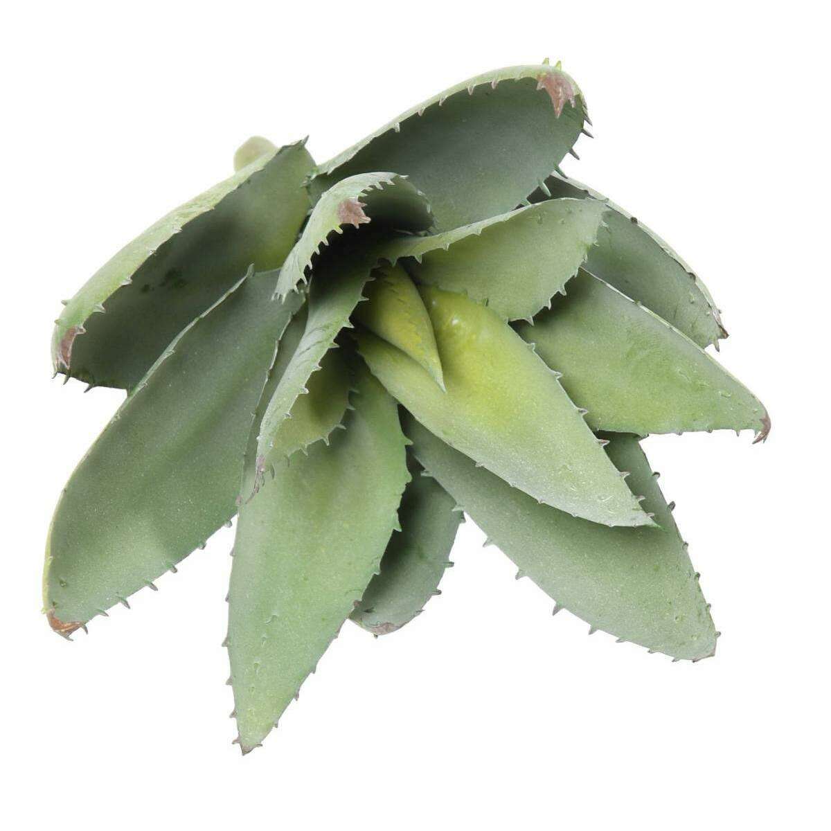 Plante artificielle Aloevera en piquet - cactus artificiel 12 feuilles - H.32cm vert