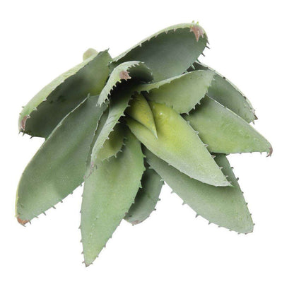 Plante artificielle Aloevera en piquet - cactus artificiel 12 feuilles - H.32cm vert