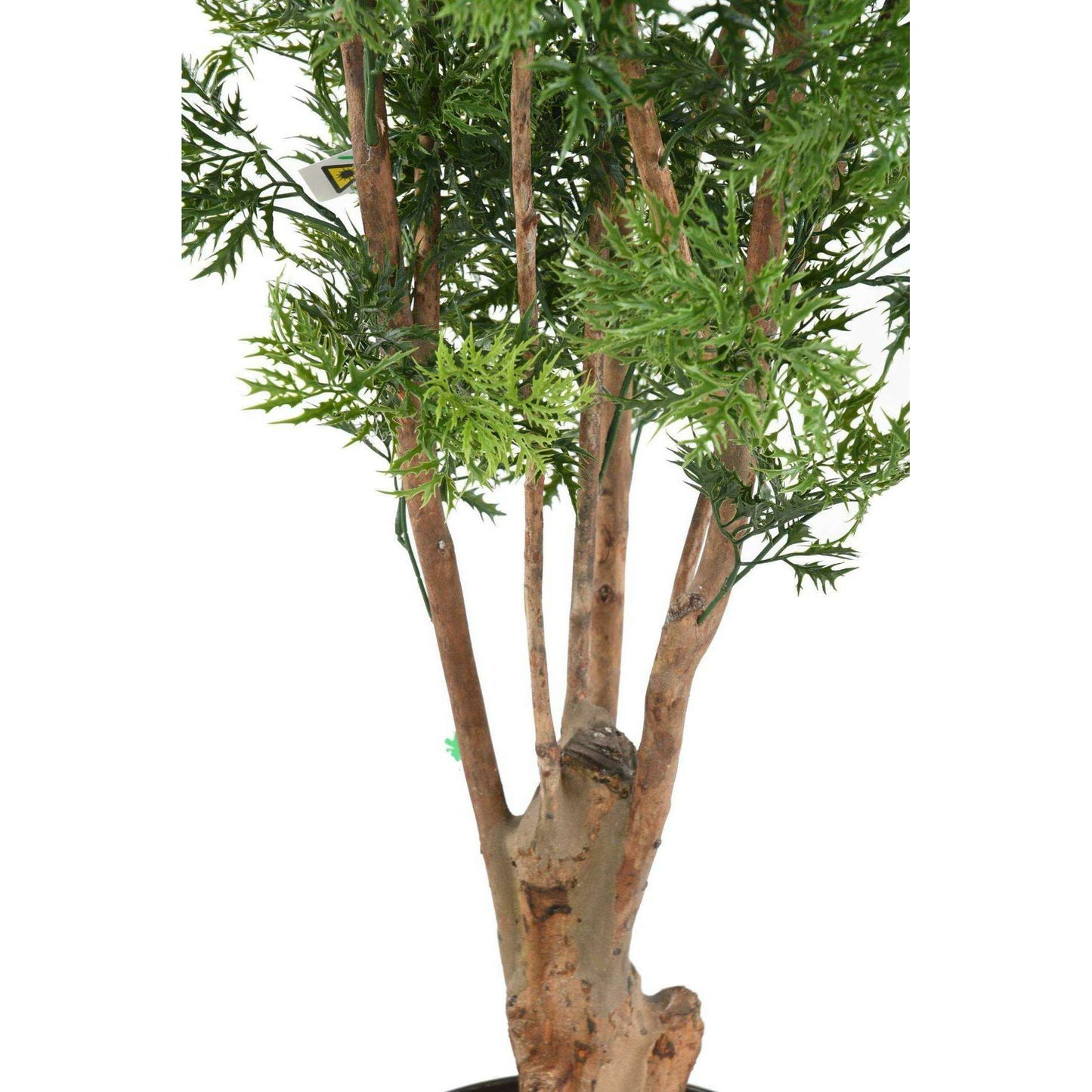 Plante artificielle Aralia Ming Nitida UV - intérieur extérieur - H.170cm vert